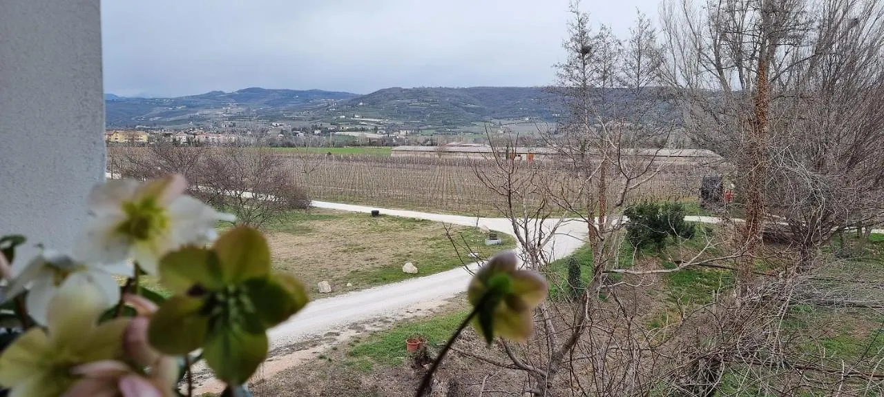 Agriturismo Alle Albare Montorio Veronese
