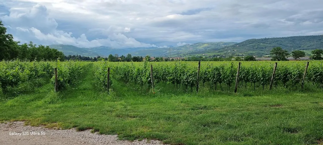 Appartamento Agriturismo Alle Albare Montorio Veronese